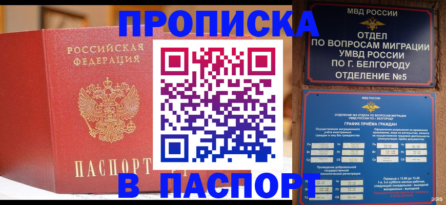 временная регистрация в квартире в Камчатской области