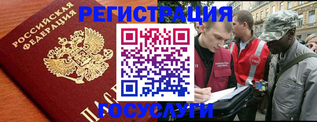 форма 3 в Камчатской области